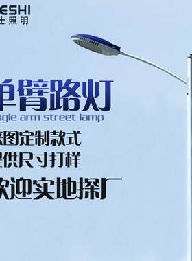 意杰士新农村6米7米8米市电户外市政工程道路园林铁制路灯厂家