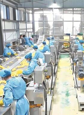 甜糯玉米清洗加工流水线  真空鲜苞米设备 鲜剥皮机全自动
