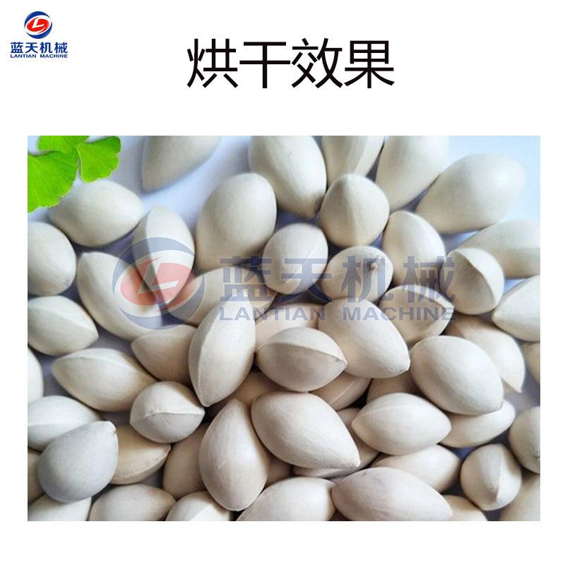 银LT-YXGHG杏果烘干机 空气能热泵银大型白果 烘干机产白果仁杏子