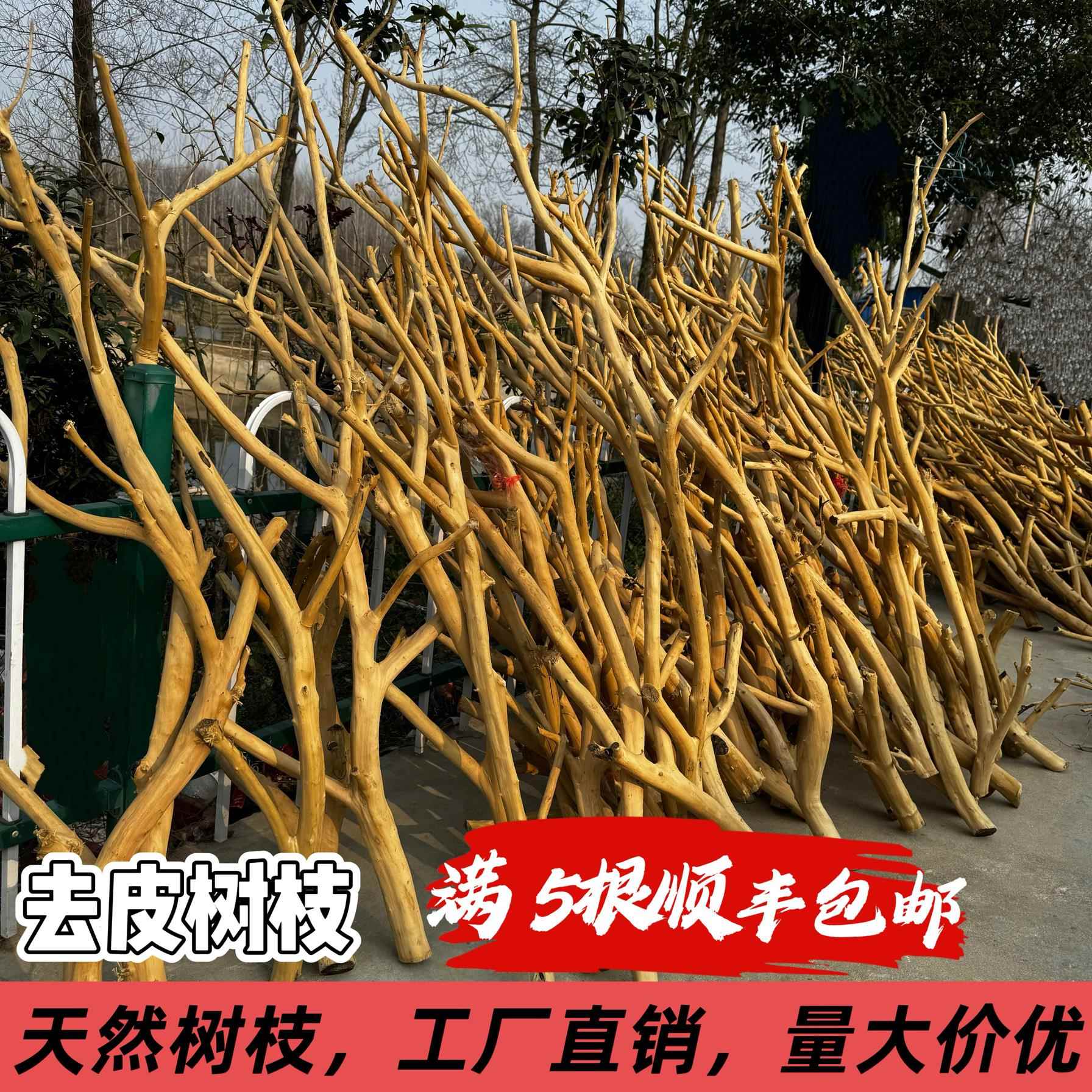 去皮龙骨干树枝原木杈灯架艺术干 干燥树枝鸟架造型壁挂衣架悬吊图片