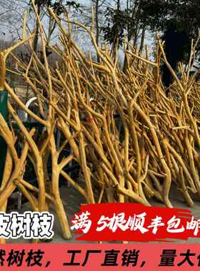 去皮龙骨干树枝原木杈灯架艺术干 干燥树枝鸟架造型壁挂衣架悬吊