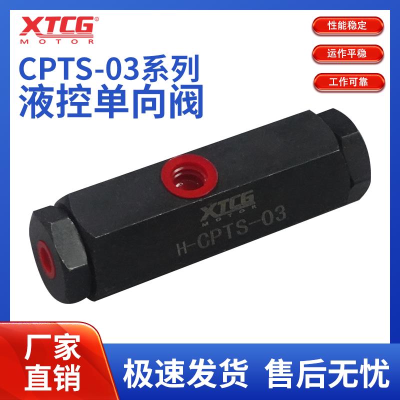 自锁油缸CPTS-03引导逆止阀管式液控单向阀保压阀 油缸自锁单向阀