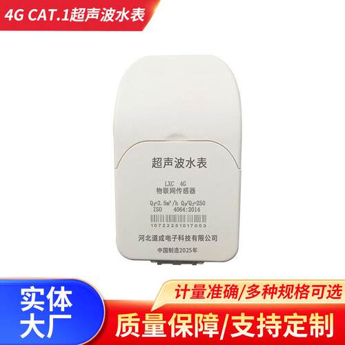 4GCAT.1超声波水表DN15-25智能远传超声波管道式数显超声波流量