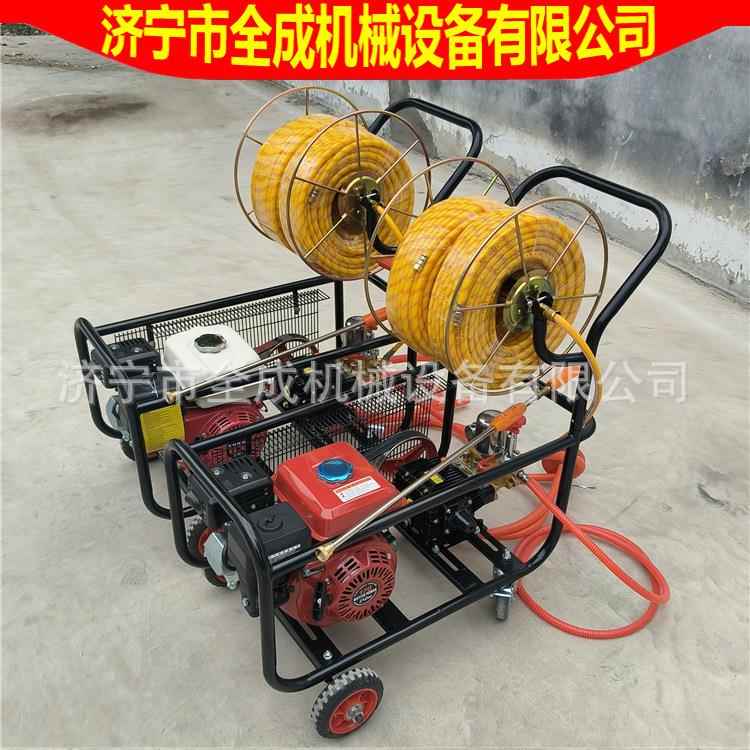 养殖场消毒喷雾机手推式汽油柴油果树打药机农作物植保汽油喷雾器