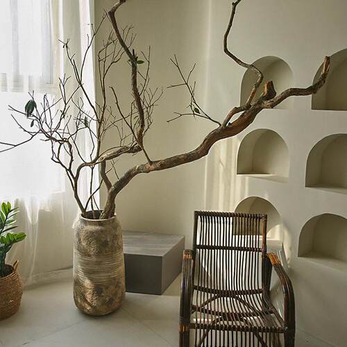 枯树大型造型马醉木树装饰真树干黄柏树大型落地造景装饰干树枝