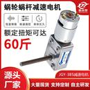 385涡轮蜗杆微型直流减速低速电机 精品JGY M6螺杆轴调速小马达12