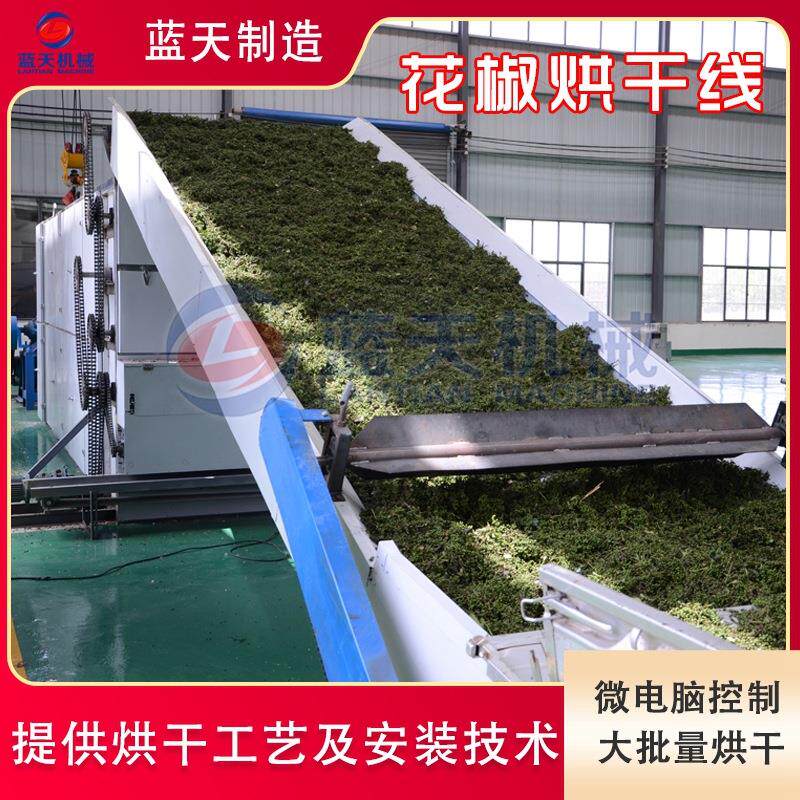 自动花椒烘干机 履带式四川麻椒青花椒烘干机 大型网带烘干生产线