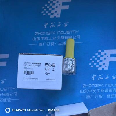 德国EGE流量计SC440/1-A4-GSP