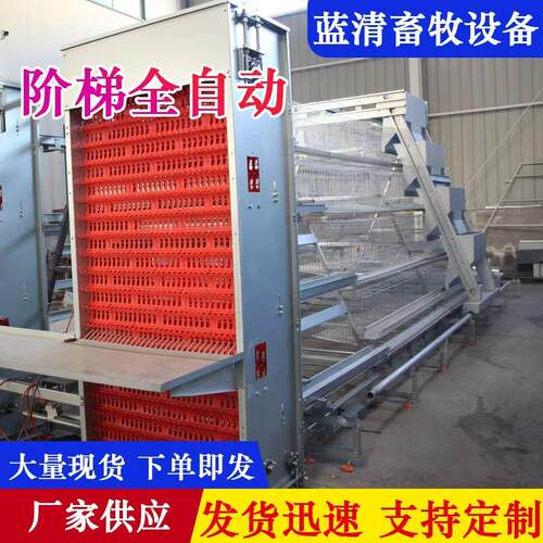 阶梯自动蛋鸡笼养殖场养殖笼具自动清粪背负式喂料机自动捡蛋机