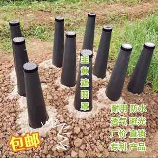用小型变黄桶耐用黑色遮光韭黄种植锥形桶用工遮光罩蒜黄韮黄黄黄