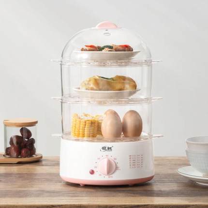 迷你小型电蒸锅定时多功能家用插电蒸汽锅双层三层多层透明早餐机