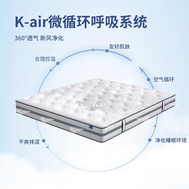 乳胶簧席梦思硬垫家用垫椰弹床棕护53191093脊椎