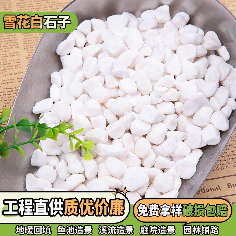 广东白石子景观石小鹅卵石庭院铺路铺地阳台装饰花园白色石子造景