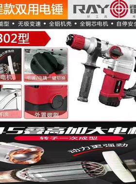 雷尤电锤 0302离合电锤双用大功率锤镐1200W适用钢筋植筋开槽打孔