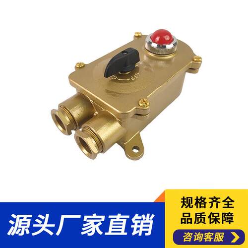船用电气接插件船用铜质接线盒指示灯开关HSD2-2开关指示灯黄铜