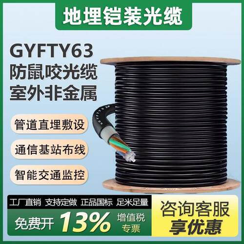 GYFTY63防鼠咬非金属铠装光缆4/6/8/12/24/36/48/96/144芯层绞式