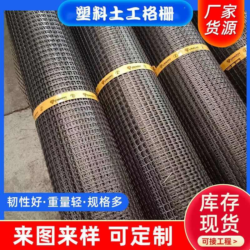 新塑料网格养殖网土工格栅果园鱼塘防护网圈地网漏粪网鸡鸭围栏网