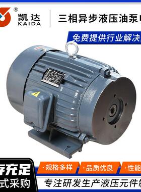 厂家热销液压油泵电机三相异步220V5.5W液压站系统电动机