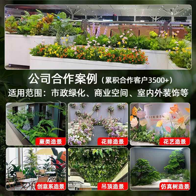 花仿真绿植花槽隔断假植物箱景观室FZLZDD组内花客厅橱窗装饰仿真