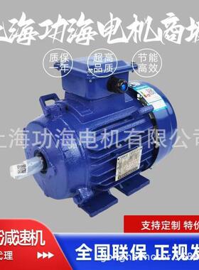 TECO东元电动机 东元马达 TEV3系列 GB3/IE3能效 AEEV3N040010YWE