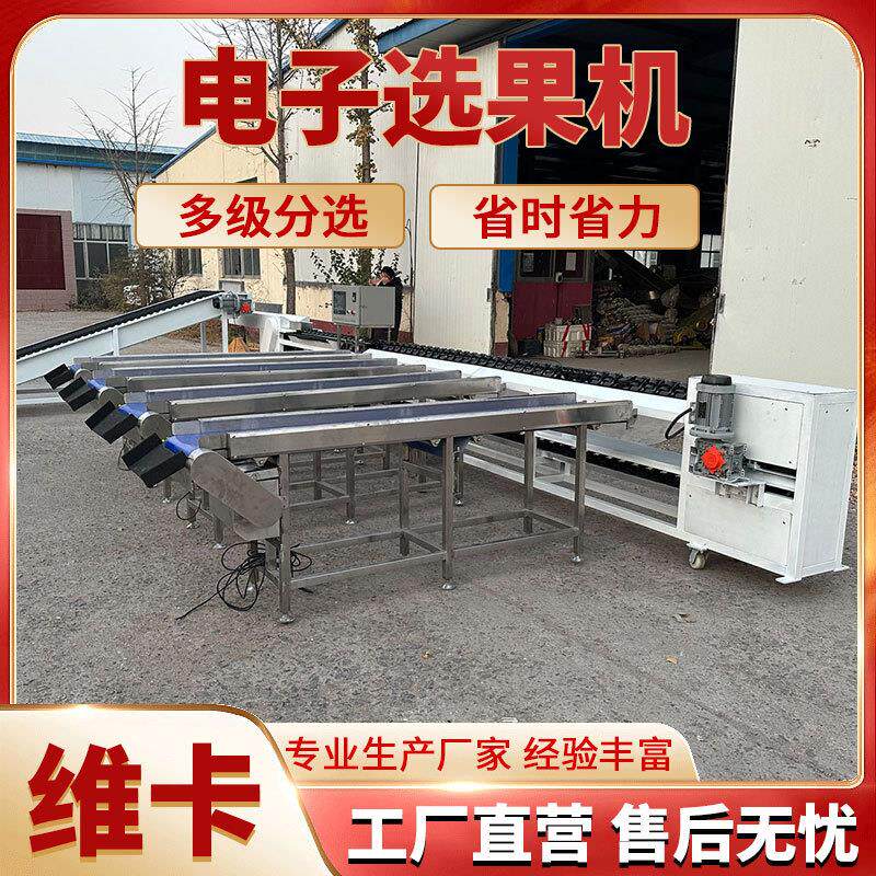 百香果选果机粑粑柑重量分选机橙子橘子分拣机全自动精度高