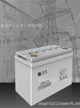 圣阳蓄电池6GFM-10012V100AH发电厂变电站电信通讯设备