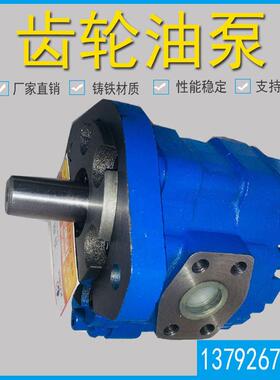 厂家供应长江双联泵CBY2040/K1010-142R 长江液压双联齿轮泵