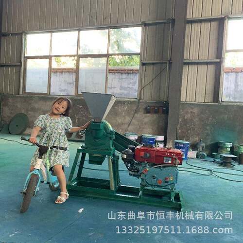 虾皮草料桑叶锯末磨粉机面条渣烧烤撒料八角茴香粉碎机黄豆打粉机