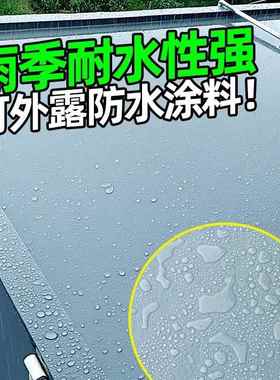 屋顶EEH水补漏顶防水胶补漏裂缝渗水防水房材料胶楼顶外墙防涂料