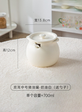坛子调料罐简约红油装猪油罐带盖家用装荤油的容器大容量双耳北欧