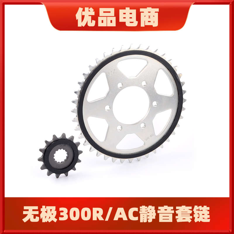 适用隆鑫无极VOGE LX300R RR AC套链牙盘小飞链轮征和油封链条