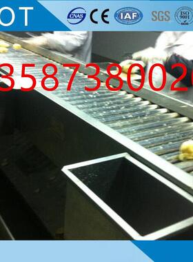 食品厂专用输送机果蔬速冻厂用提升机滚杠输送机塑钢带上料机