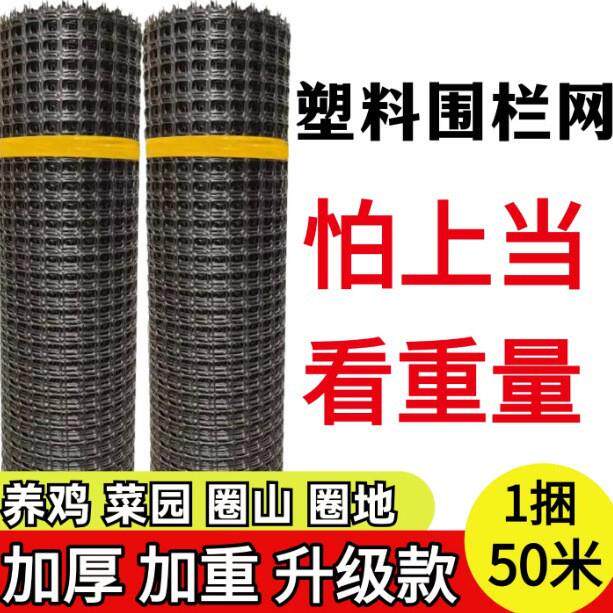 加厚塑料网围栏网养殖网拦鸡鸭网护栏网隔离网菜园果园鱼塘防护网