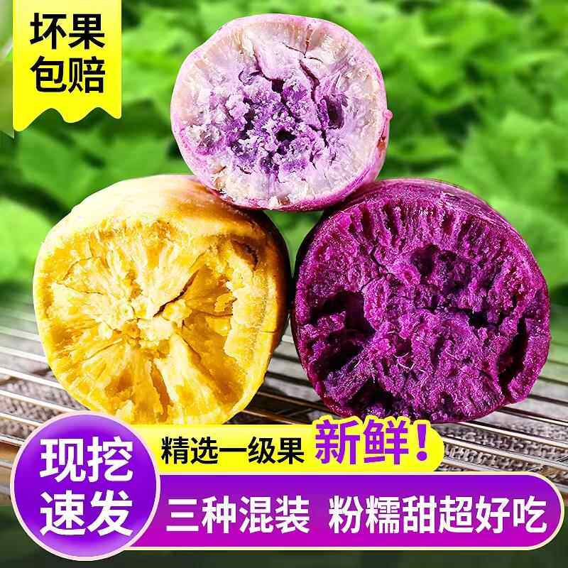 正宗冰淇淋番薯一点红红薯农家自种紫薯新鲜现挖粉糯板栗红薯混搭