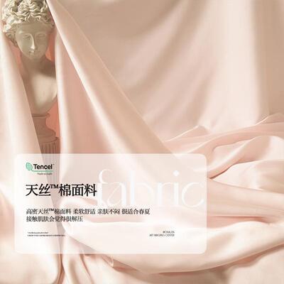 夏季高端纯色100S兰精tencel天丝棉床单单件床笠丝滑冰丝三件套