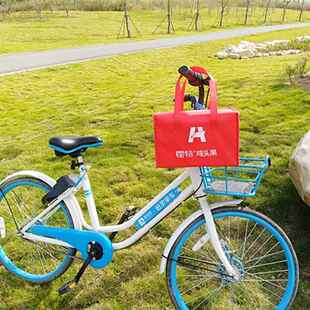 霍邱特产 霍特鸡头果一级品手提袋礼盒装（*4袋）新鲜芡实鸡头果