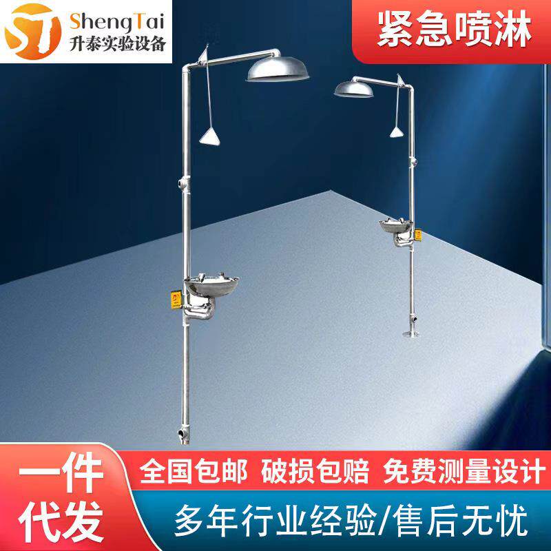 304不锈钢立式便携式紧急喷淋冲淋装置复合式洗眼器多功能