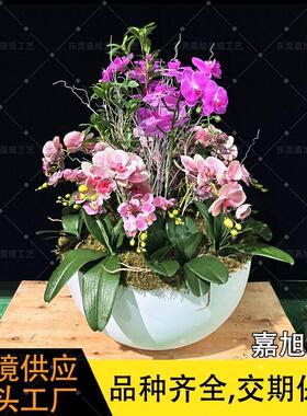 简约脚兰花盆金色铁艺宽口花器蝴蝶兰盆家居园艺插花盆盆景