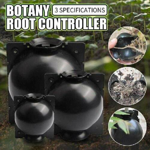 Reusable Plant Root Growing Box Cutting Grafting Rooting