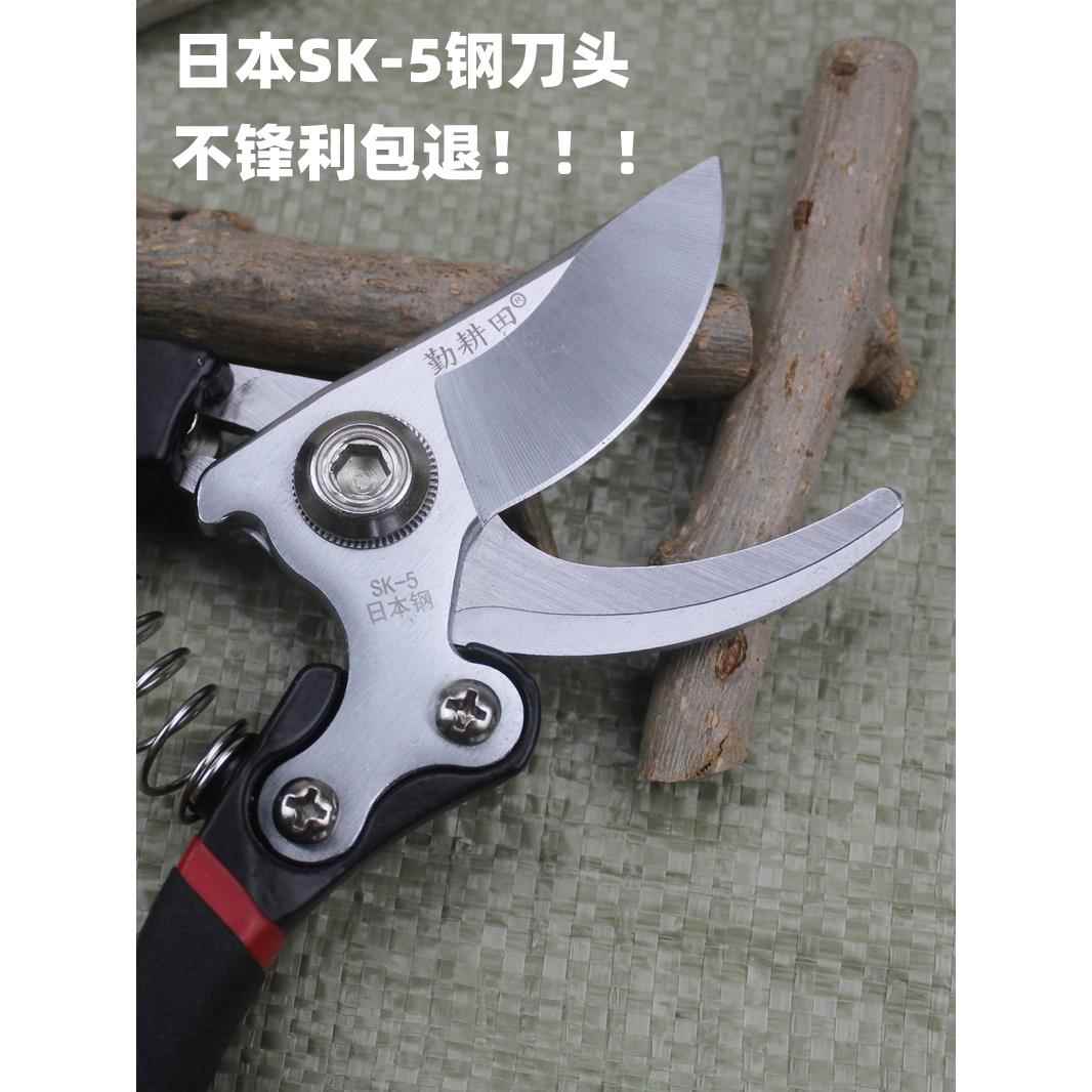 德国精工果树剪枝剪刀树粗枝花草修枝剪家用园艺专用省力花剪日本