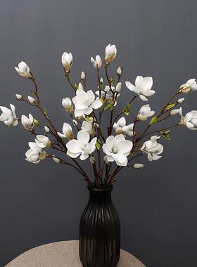 帝王玉兰花仿真花家居枝装饰PU摆件假花婚庆手感仿真帝王花