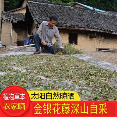 深山金银花藤干20包农家金银花藤洗澡忍冬藤干货太阳晒干煮水泡澡