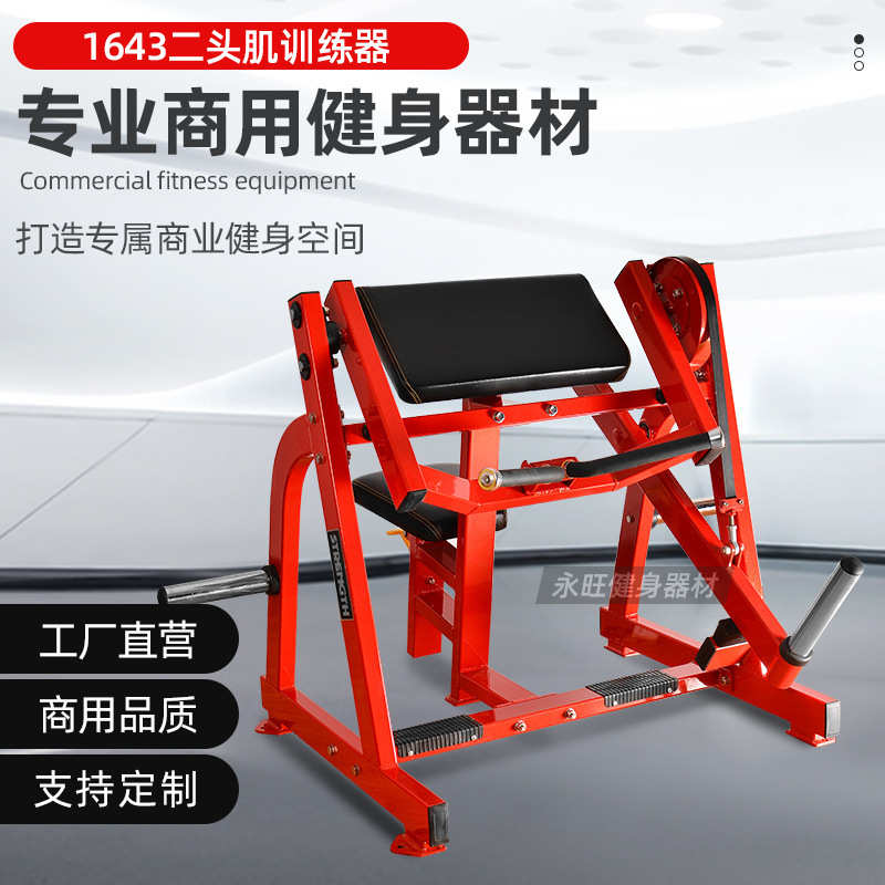 坐式二头肌训练机 健身房商用室内健身器材二头肌锻炼械撸铁挂片