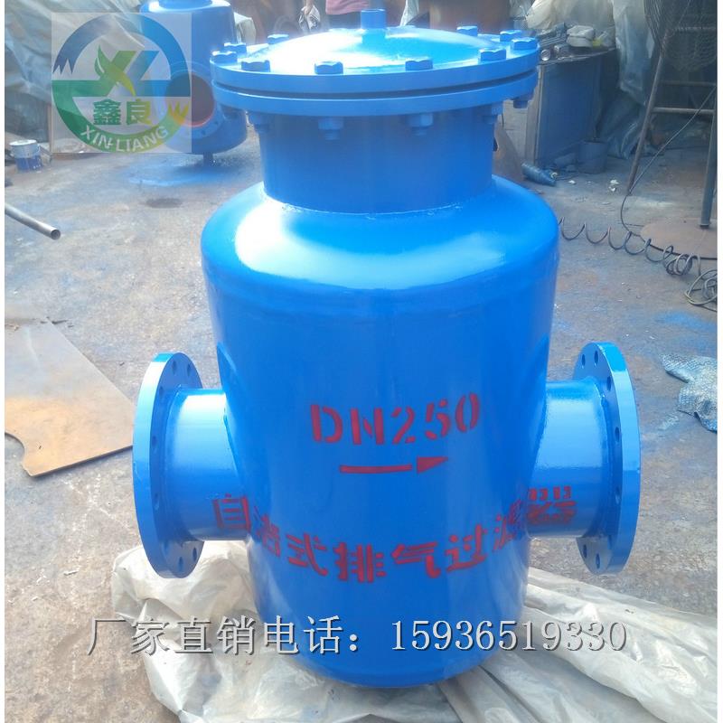 自洁式排气过滤器 精密过滤器 GCQ 排污器 过滤器 DN100 DN125
