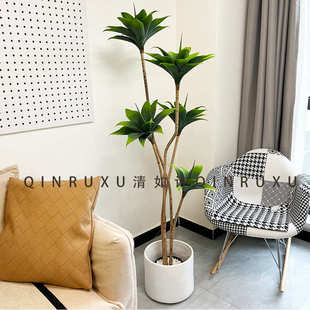 多头仿真肉室内绿落地盆栽植欧风沙生多龙舌兰摆件北睡莲植物装饰