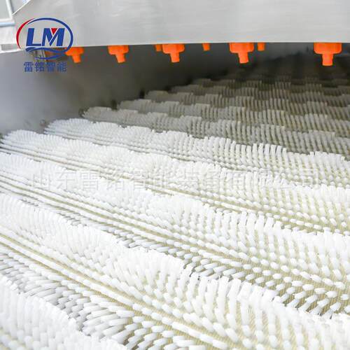 海EOH蛎子毛刷清洗机 小龙毛压辊清洗高机设虾备 生蚝牡蛎喷淋清