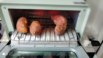 【真相揭秘】考啦蒸烤箱怎么样？说说我的心酸使用史！