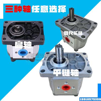 CBN齿轮泵CBN-F316 CBT液压泵F304 F306 F310 F312 F325油泵高压