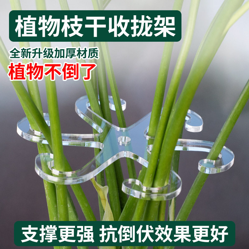 植物枝干收拢支撑其它园艺用品