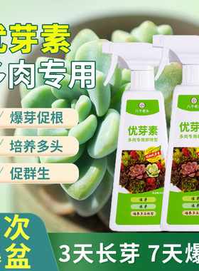 多肉用优芽素爆侧芽促芽爆芽培育叶插苗老桩多头生长素